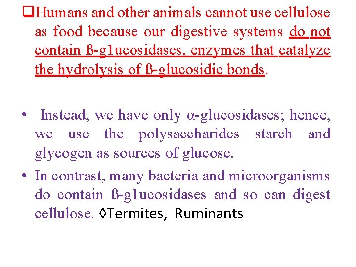 q. Humans and other animals cannot use cellulose as food because our digestive systems