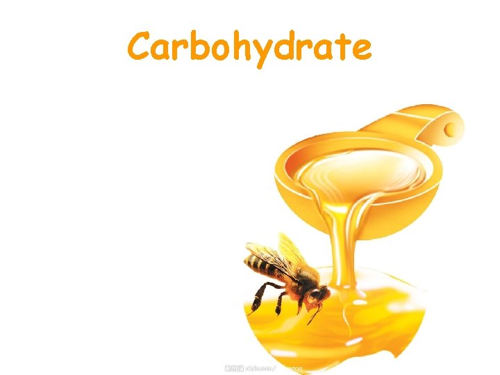Carbohydrate 