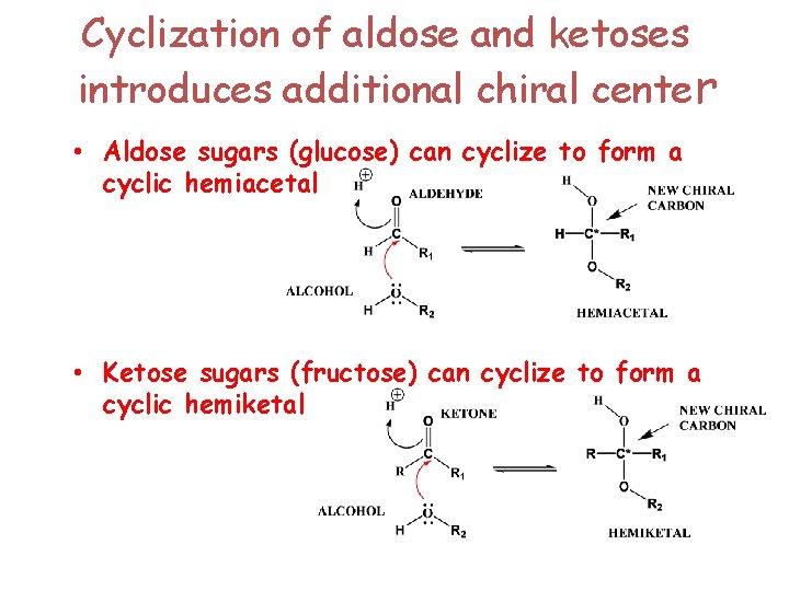 Cyclization of aldose and ketoses introduces additional chiral center • Aldose sugars (glucose) can