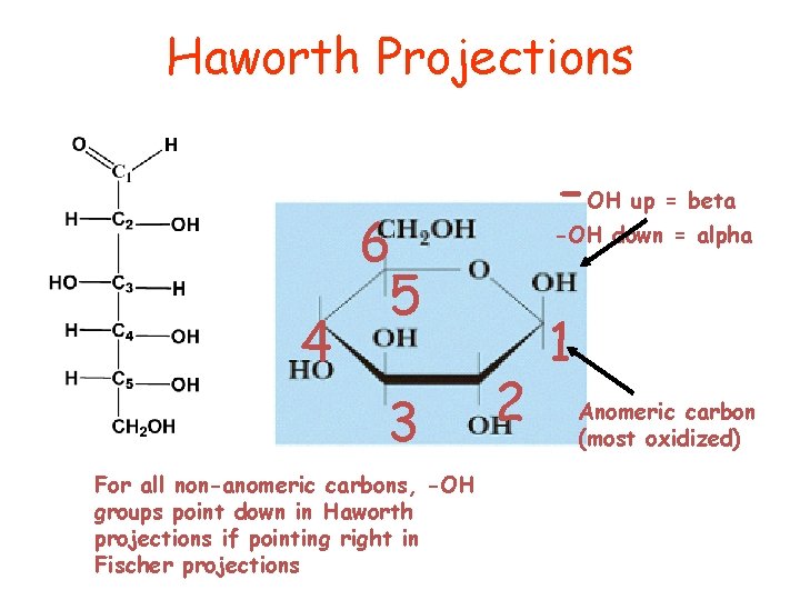 Haworth Projections 4 -OH up = beta 6 5 3 For all non-anomeric carbons,