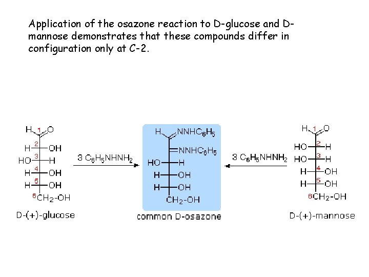 Application of the osazone reaction to D-glucose and Dmannose demonstrates that these compounds differ