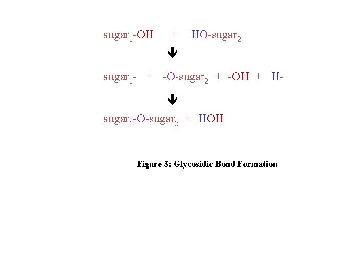 sugar 1 OH + HO sugar 2 sugar 1 + O sugar 2 +