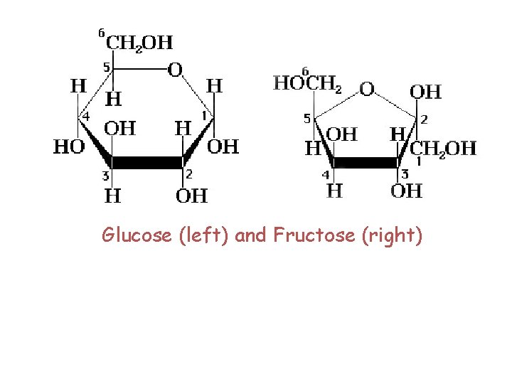 Glucose (left) and Fructose (right) 