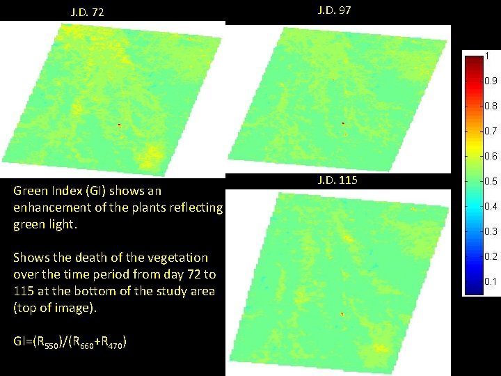 J. D. 72 Green Index (GI) shows an enhancement of the plants reflecting green