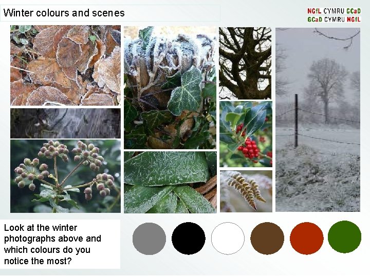 Winter colours and scenes Look at the winter photographs above and which colours do