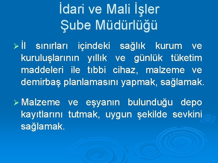 İdari ve Mali İşler Şube Müdürlüğü İl sınırları içindeki sağlık kurum ve kuruluşlarının yıllık