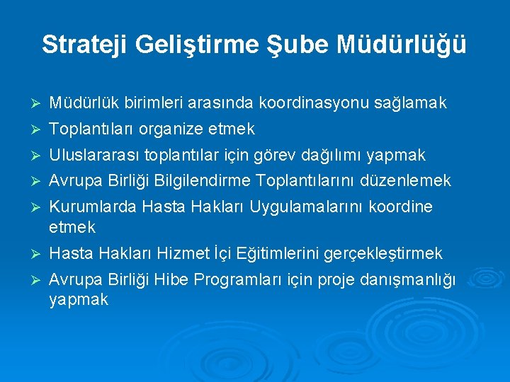 Strateji Geliştirme Şube Müdürlüğü Müdürlük birimleri arasında koordinasyonu sağlamak Toplantıları organize etmek Uluslararası toplantılar