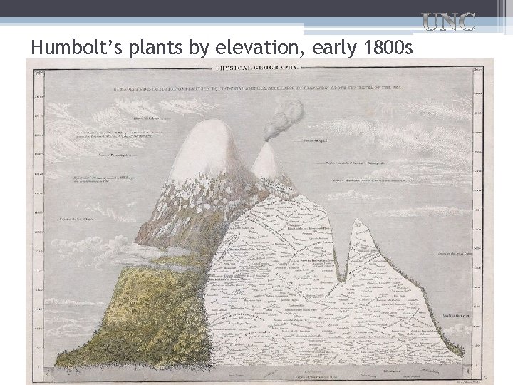 Humbolt’s plants by elevation, early 1800 s 