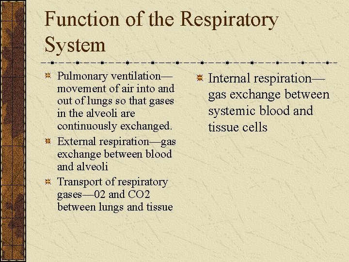 Function of the Respiratory System Pulmonary ventilation— movement of air into and out of