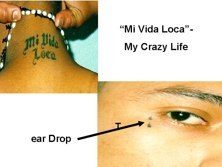 “Mi Vida Loca”My Crazy Life T ear Drop 