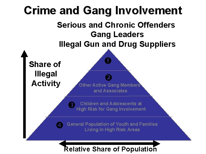 Crime and Gang Involvement Serious and Chronic Offenders Gang Leaders Illegal Gun and Drug