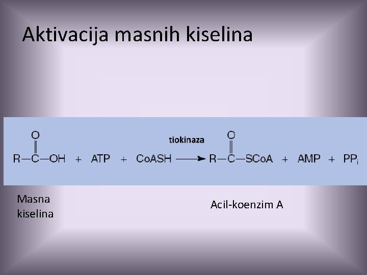 Aktivacija masnih kiselina Masna kiselina Acil-koenzim A 