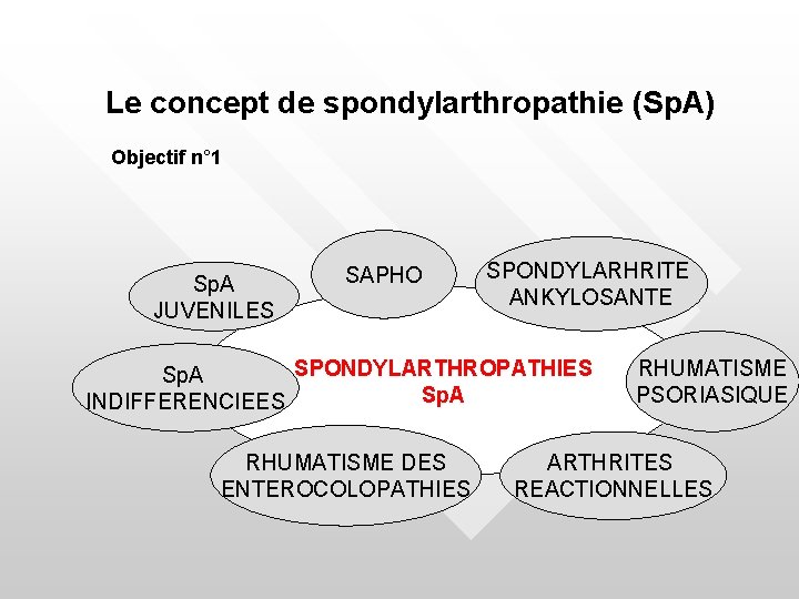 Le concept de spondylarthropathie (Sp. A) Objectif n° 1 Sp. A JUVENILES SAPHO SPONDYLARHRITE