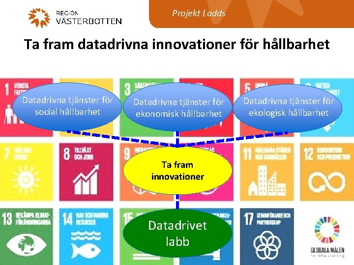 Projekt Ladds Ta fram datadrivna innovationer för hållbarhet Datadrivna tjänster för social hållbarhet Datadrivna
