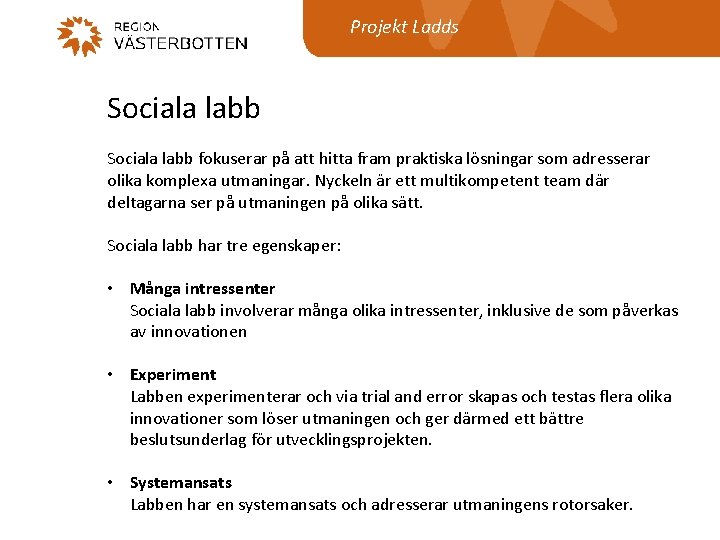 Projekt Ladds Sociala labb fokuserar på att hitta fram praktiska lösningar som adresserar olika