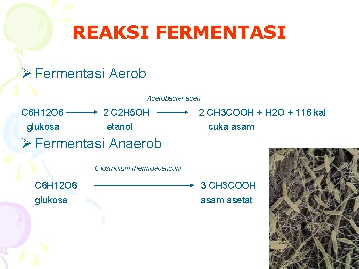 REAKSI FERMENTASI Ø Fermentasi Aerob Acetobacter aceti C 6 H 12 O 6 glukosa