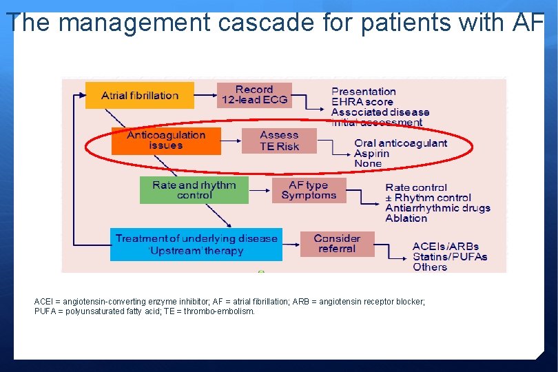 The management cascade for patients with AF ACEI = angiotensin-converting enzyme inhibitor; AF =