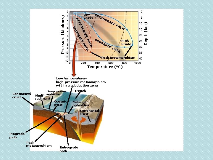 PR OG RA DE PA TH High Grade PA TH Peak metamorphism Temperature (°C)