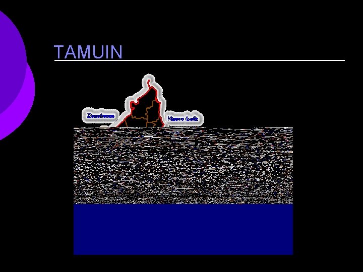 TAMUIN 