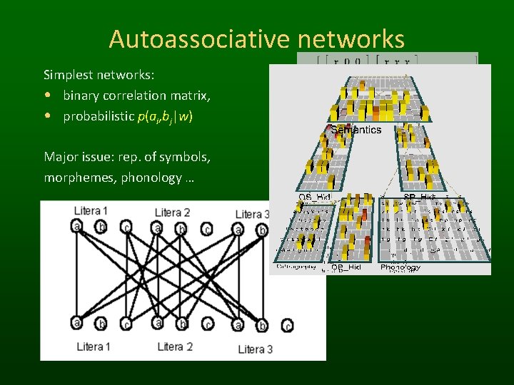 Autoassociative networks Simplest networks: • binary correlation matrix, • probabilistic p(ai, bj|w) Major issue: