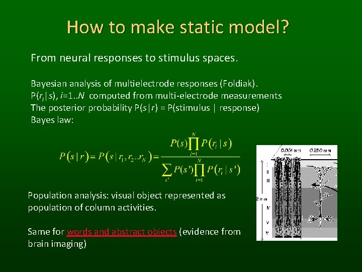 How to make static model? From neural responses to stimulus spaces. Bayesian analysis of
