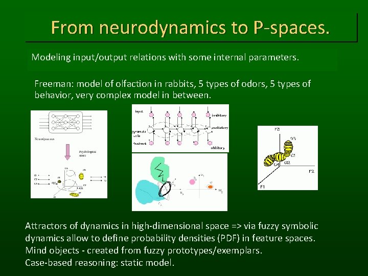 From neurodynamics to P-spaces. Modeling input/output relations with some internal parameters. Freeman: model of