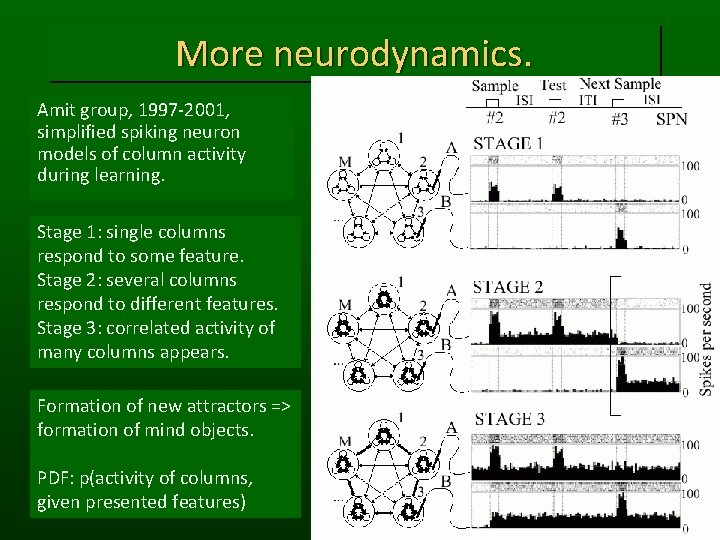 More neurodynamics. Amit group, 1997 -2001, simplified spiking neuron models of column activity during