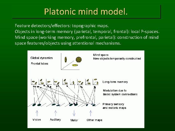 Platonic mind model. Feature detectors/effectors: topographic maps. Objects in long-term memory (parietal, temporal, frontal):