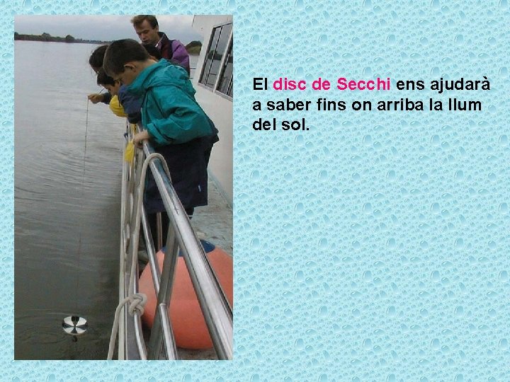 El disc de Secchi ens ajudarà a saber fins on arriba la llum del