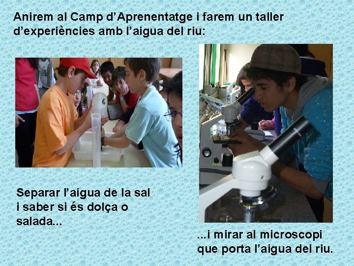 Anirem al Camp d’Aprenentatge i farem un taller d’experiències amb l’aigua del riu: Separar