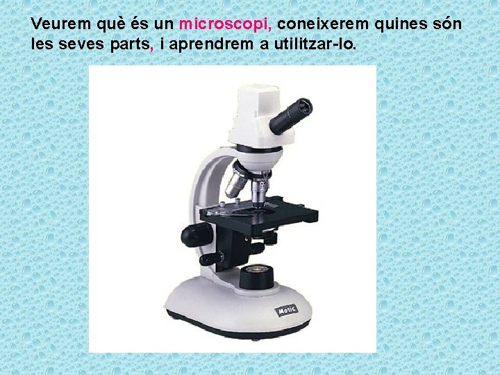 Veurem què és un microscopi, coneixerem quines són les seves parts, i aprendrem a