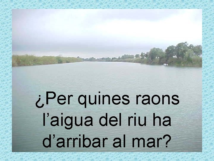 ¿Per quines raons l’aigua del riu ha d’arribar al mar? 