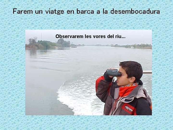 Farem un viatge en barca a la desembocadura Observarem les vores del riu. .