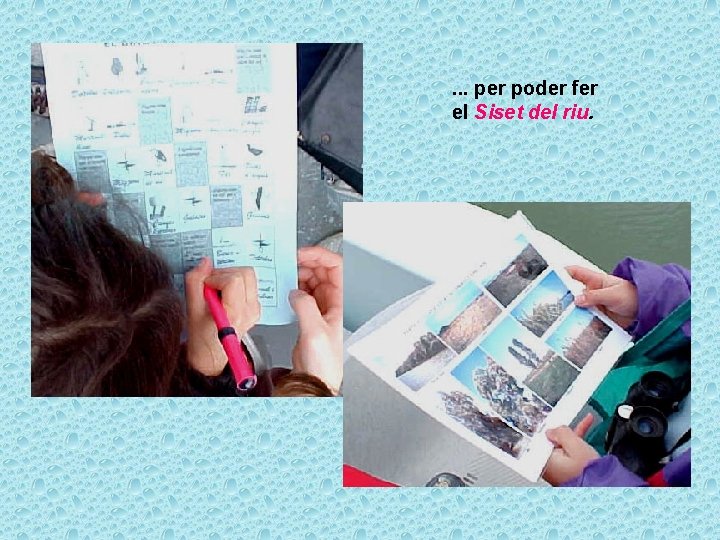 . . . per poder fer el Siset del riu. 