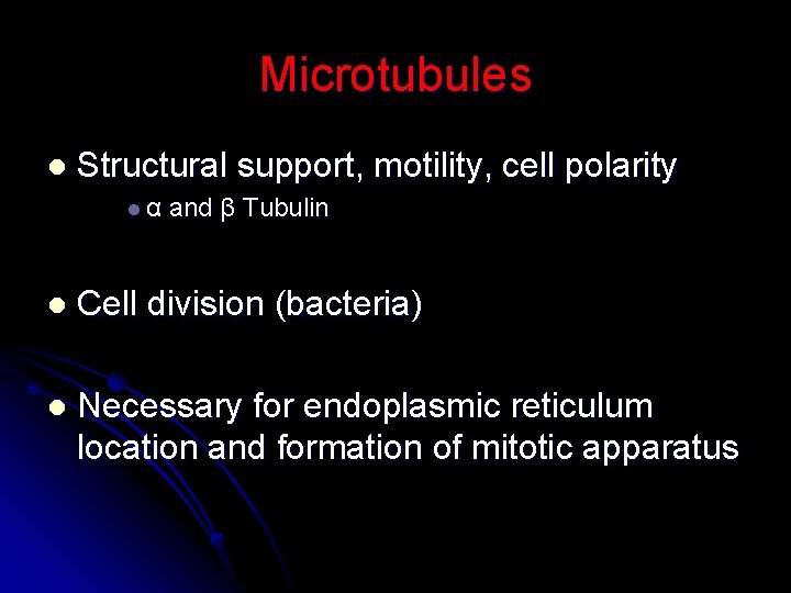 Microtubules l Structural support, motility, cell polarity lα and β Tubulin l Cell division