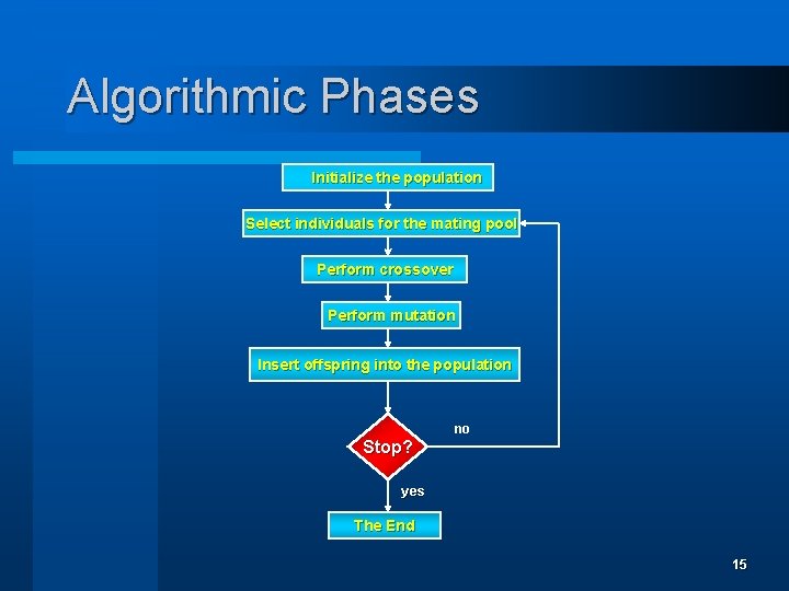 Algorithmic Phases Initialize the population Select individuals for the mating pool Perform crossover Perform