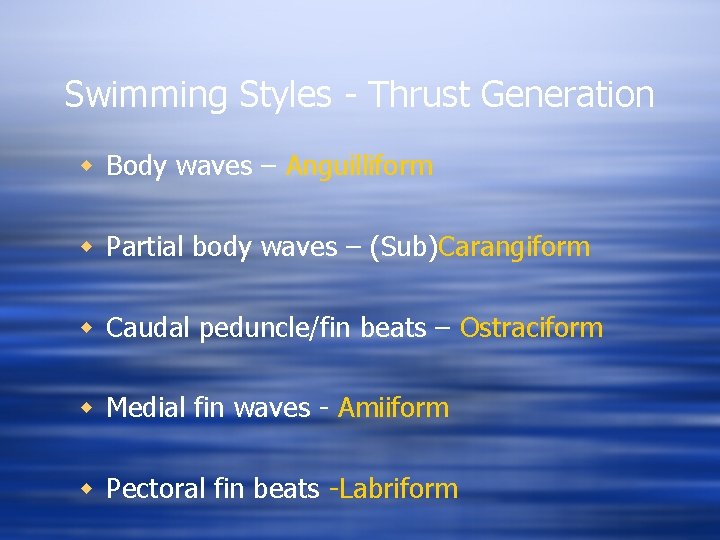 Swimming Styles - Thrust Generation w Body waves – Anguilliform w Partial body waves