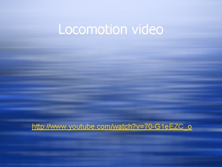 Locomotion video http: //www. youtube. com/watch? v=70 -G 1 e. EZC_o 