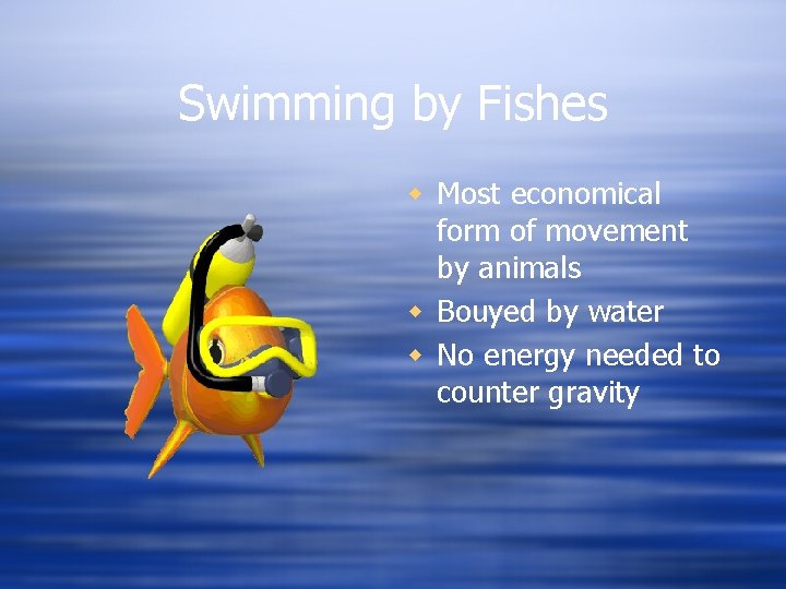 Swimming by Fishes w Most economical form of movement by animals w Bouyed by