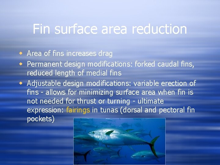 Fin surface area reduction w Area of fins increases drag w Permanent design modifications: