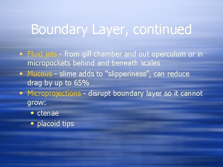 Boundary Layer, continued w Fluid jets - from gill chamber and out operculum or