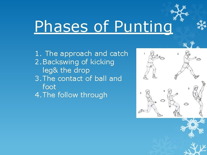 Phases of Punting 1. The approach and catch 2. Backswing of kicking leg& the