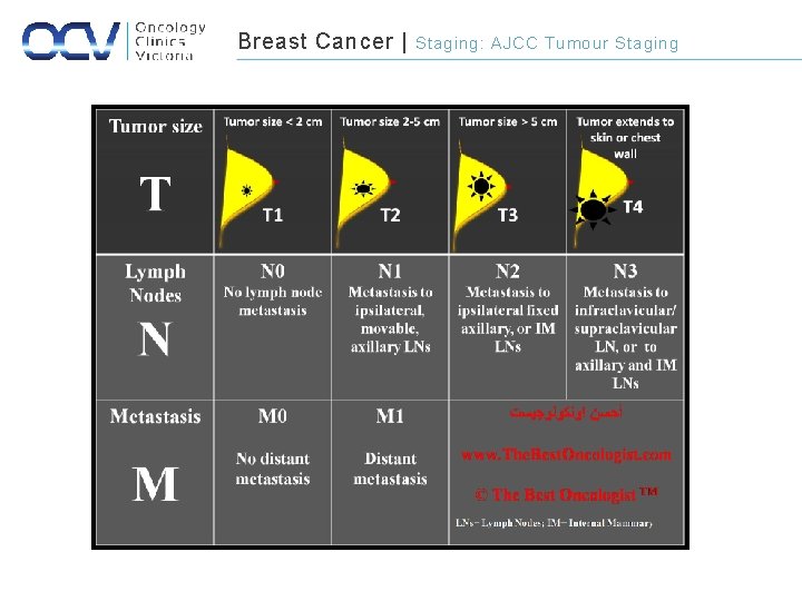 Breast Cancer | Staging: AJCC Tumour Staging 