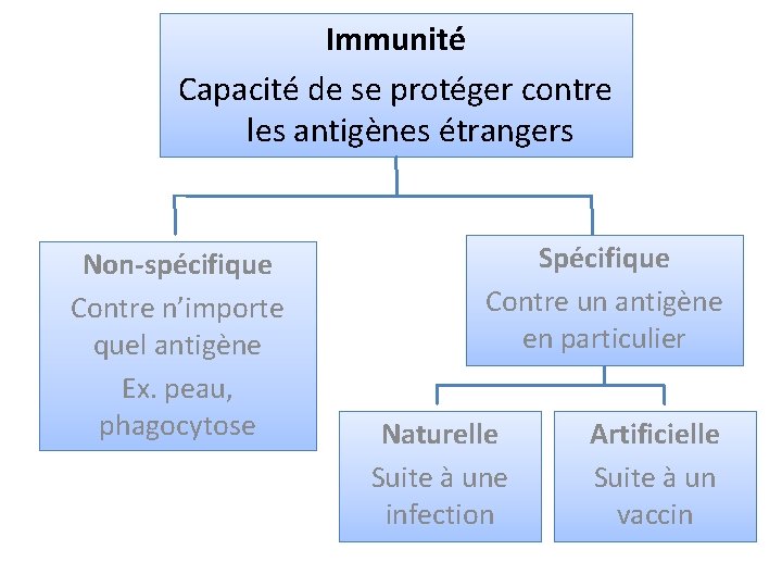 Immunité Capacité de se protéger contre les antigènes étrangers Non-spécifique Contre n’importe quel antigène