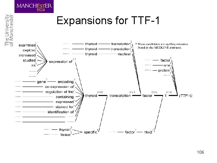 Expansions for TTF-1 106 