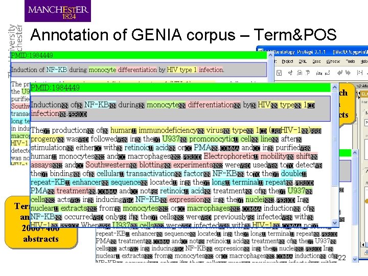 Annotation of GENIA corpus – Term&POS Part-of-speech annotation 2, 000 abstracts Term (entity) annotation