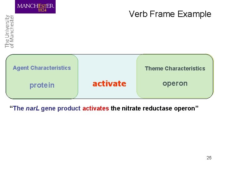 Verb Frame Example Agent Characteristics protein Theme Characteristics activate operon “The nar. L gene