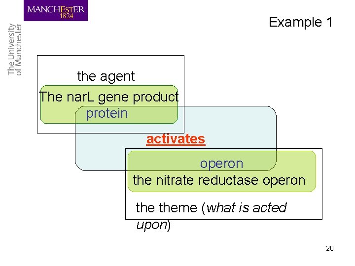 Example 1 the agent The nar. L gene product protein activates operon the nitrate