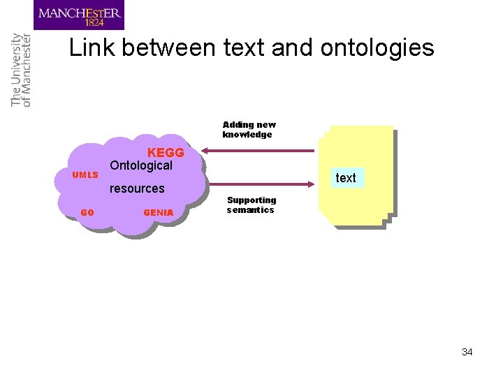 Link between text and ontologies Adding new knowledge UMLS KEGG Ontological resources GO GENIA