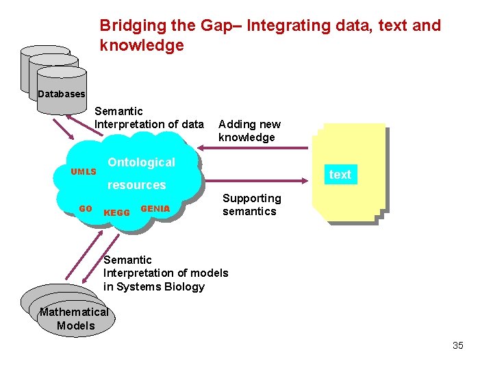 Bridging the Gap– Integrating data, text and knowledge Databases Semantic Interpretation of data UMLS